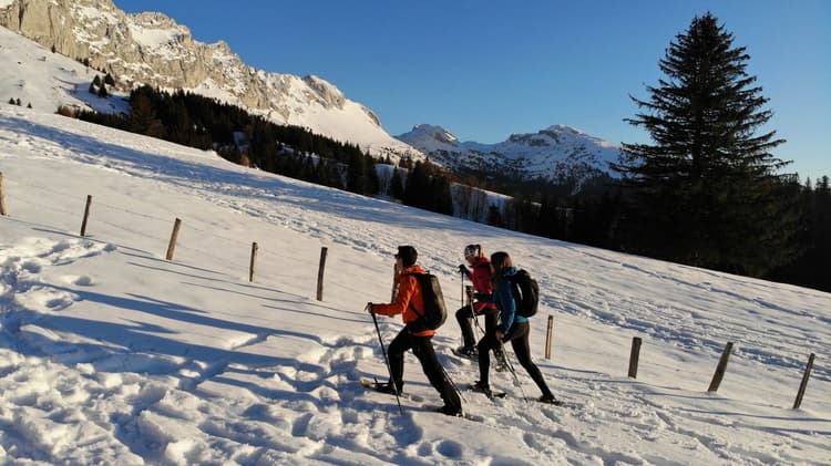 Guided hike