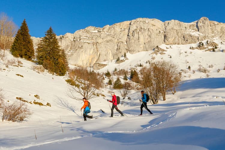 Guided hike