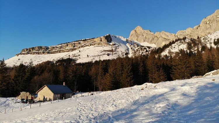 Guided hike